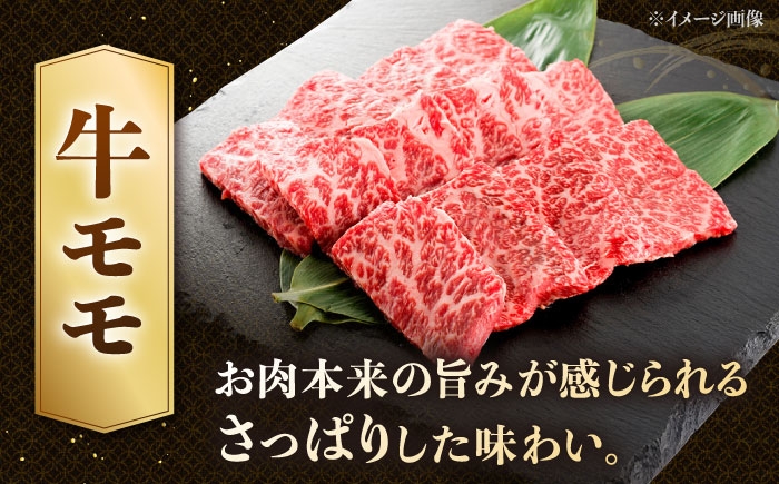 もも　モモ 牛モモ肉 定期便 焼肉用 国産 和牛