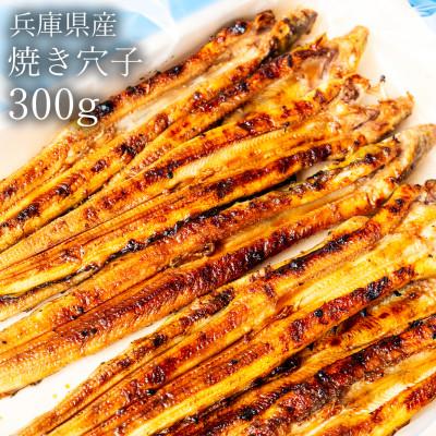 ふるさと納税 赤穂市 兵庫県産　焼穴子　300g入(約6〜10匹)