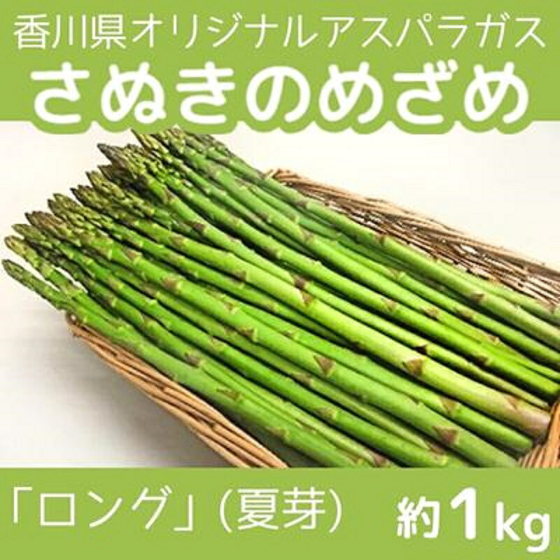 【ふるさと納税】香川県オリジナルアスパラガス「さぬきのめざめロング」(夏芽) 約1kg 野菜 野菜セット 　お届け：2026年6月中旬～10月上旬