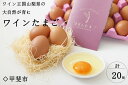 【ふるさと納税】コクがあり旨味が強い 絶品ワインたまご (20個入) 卵 たまご 生卵 鶏卵 山梨県甲斐市　【 食材 食卓 万能食材 卵料理 玉子焼き オムレツ 玉子かけご飯 おかず 料理 調理 】