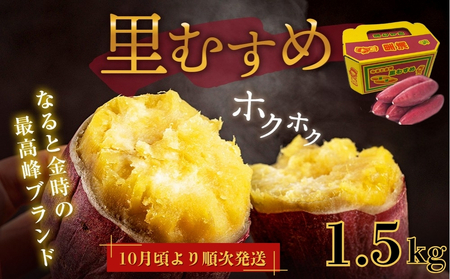 【 予約受付中・2025年9月下旬～10月頃より順次発送 】なると金時 里むすめ 1.5kg