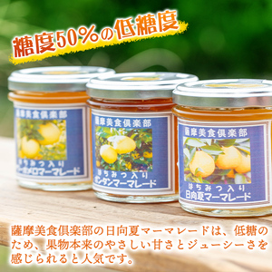 isa388 《数量限定》手作りはちみつ入り日向夏マーマレード(計3個・各140g) 日向夏 加工食品 果物 フルーツ 詰め合わせ 果肉 柑橘 低糖 ハンドメイド ジャム ギフト【薩摩美食倶楽部】