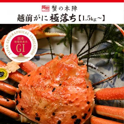 ふるさと納税 越前町 福井県のブランド蟹「極」に準ずる【越前がに　極落ち1.5kg〜】2027年1月発送