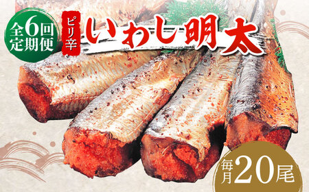 【全6回定期便】ピリ辛 いわし明太20尾《築上町》【株式会社マル五】 明太子 [ABCJ079] 明太子 明太子 明太子 明太子 明太子