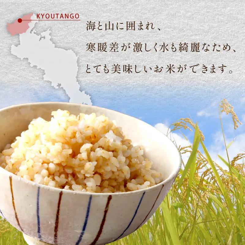 【6ヶ月定期便】2026年産 京都・京丹後峰山 特別栽培米しきゆたか 5kg 【玄米】米 定期便 玄米 しきゆたか