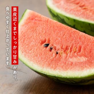 九州産すいか 小玉スイカ「マダーボール」２玉 【 数量限定 国産 宮崎県産 西瓜 フルーツ 果物 】[E10702]