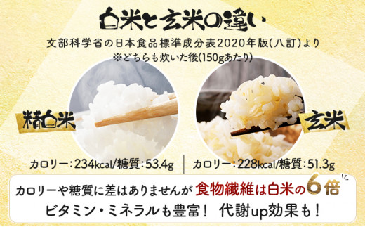 ＜令和8年産＞『100%自家生産玄米』善生さんの自慢の米 玄米おぼろづき 40kg｜北海道 岩見沢市 お米 新米【a104-088】【06140】