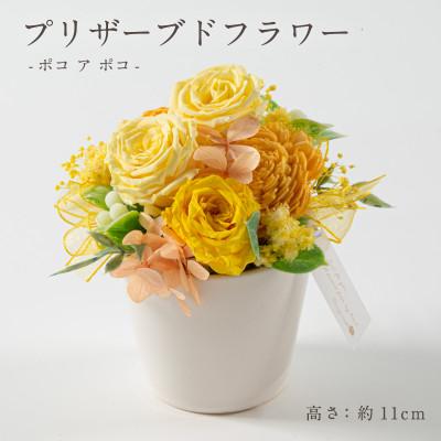 ふるさと納税 羽島市 プリザーブドフラワーアレンジ 【ポコ ア ポコ(イエロー)】