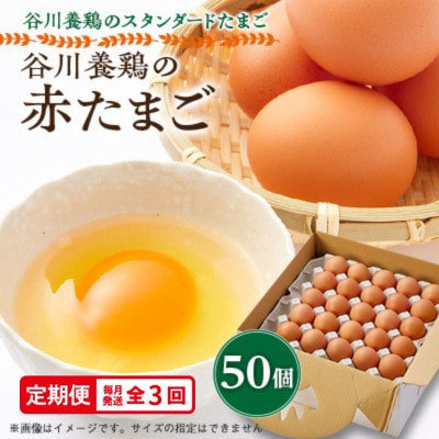 【毎月定期便】計150個【生みたて濃厚】谷川養鶏の赤たまご50ヶ入り(※サイズ指定できません)全3回【配送不可地域：離島】