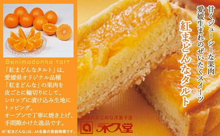 人気 スイーツ 焼菓子 愛媛生まれ 贅沢スイーツ 紅まどんなタルト 8個 詰め合わせ セット 愛媛県オリジナル品種 愛媛果試第28号（紅まどんな） 柑橘王国愛媛 永久堂