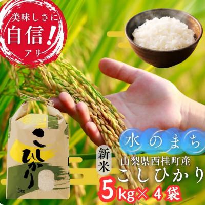 ふるさと納税 西桂町 【令和7年産】山梨県西桂町産 富士山麓「水のまち」のこしひかり精米合計20kg(5kg×4袋)