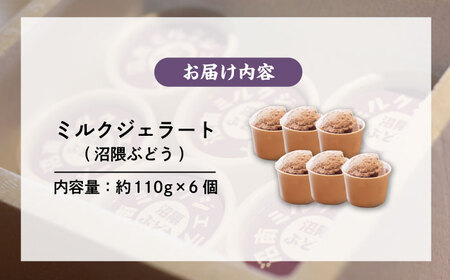 アイス 沼南ミルクジェラート 沼隈ぶどう６個 アイス アイスクリーム デザート スイーツ ご当地 広島県福山市/甚ごろう [BAEC005]