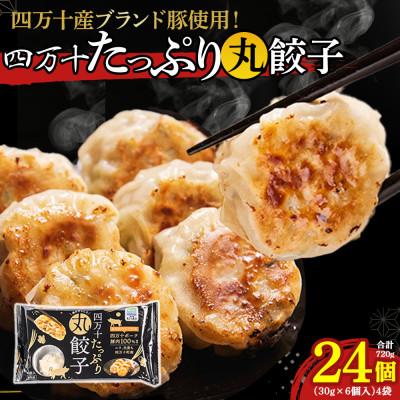 ふるさと納税 四万十町 四万十産ブランド豚使用!四万十たっぷり丸餃子 4袋