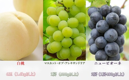 桃 ぶどう 梨 定期便 2027年 先行予約 晴れの国 岡山 の フルーツ 定期便 6回コース もも 葡萄 なし 岡山県産 国産 セット ギフト 白桃 ニューピオーネ シャインマスカット 晴王 紫苑 