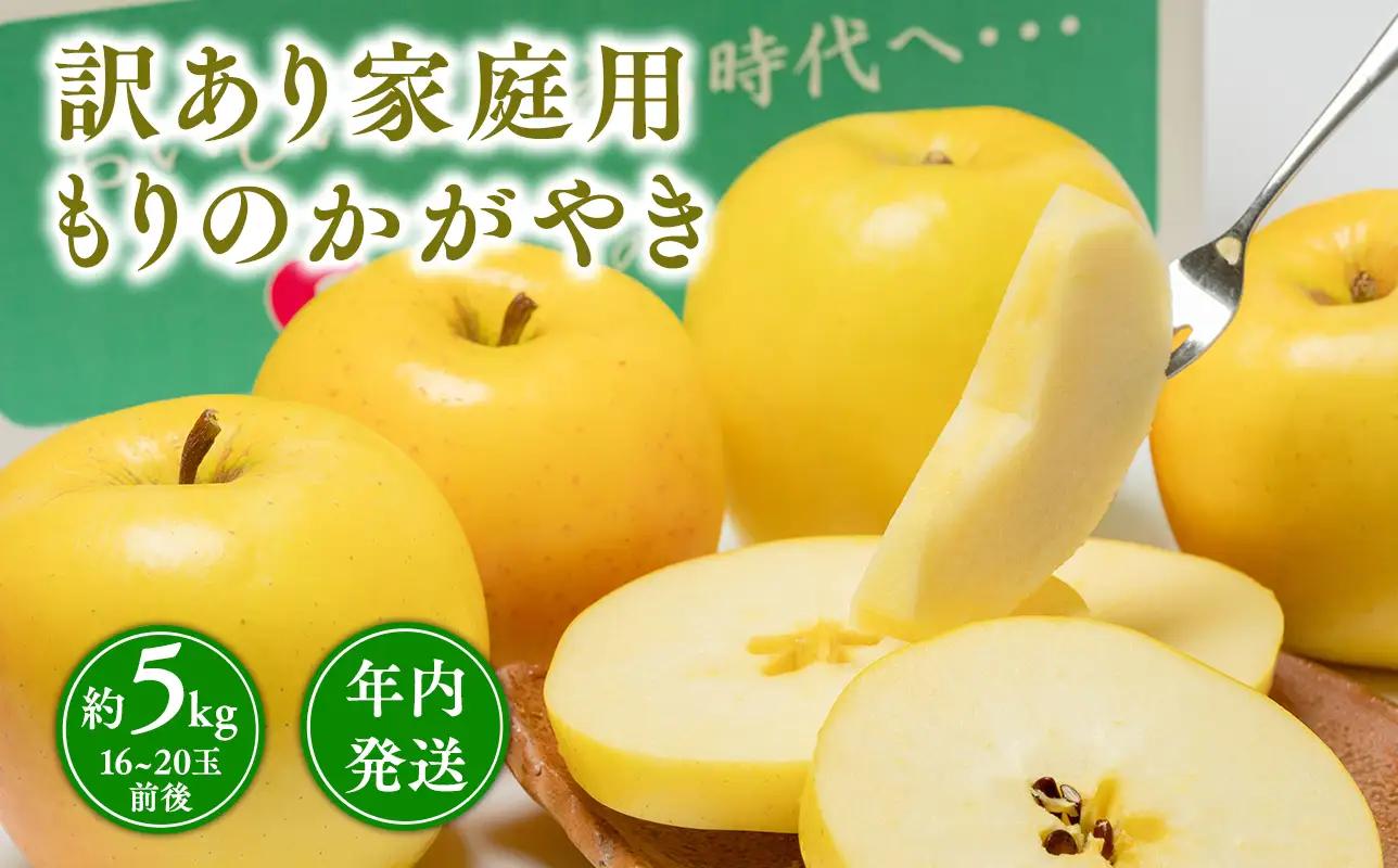 りんご 家庭用 もりのかがやき 約5kg 青森県平川市産 [hi-0005-012]