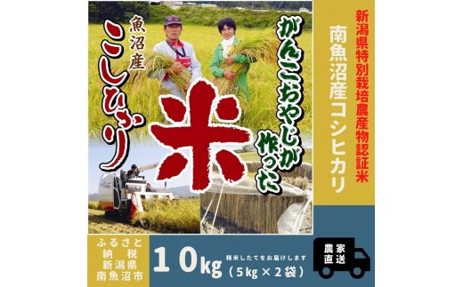 【令和7年産】特別栽培米　がんこおやじが作った南魚沼産コシヒカリ 白米１０kg（５kg×２袋）