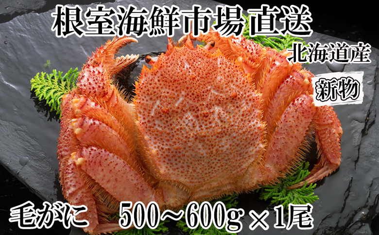 ＜12月8日決済分まで年内配送＞ボイル毛がに(新物)500～600g×1尾 B-14111