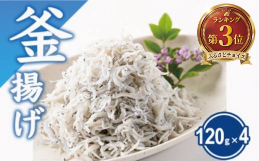 しらす 480g 釜揚げしらす 120g × 4パック シラス 魚 釜揚げ 湘南しらす sirasu じゃこ ちりめん しらす干し 江の島しらす イワシ 小分け 便利 手軽 海鮮 新鮮 魚介 魚貝 小魚 ごはん 米 おかず 海鮮丼 冷凍 無着色 贈答 人気 江の島 江ノ島 とびっちょ 神奈川 湘南 藤沢