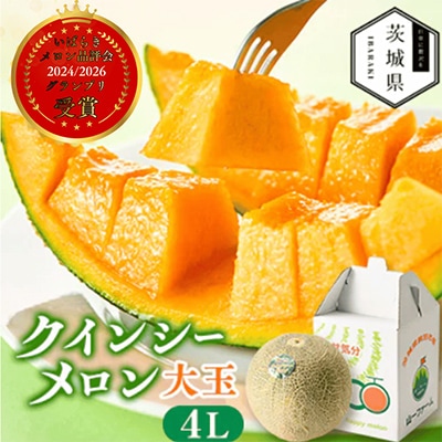 【先行受付】令和9年5月順次発送 茨城県鉾田市 山一ファーム クインシーメロン 大玉4L～5L・1玉【配送不可地域：離島・沖縄県】