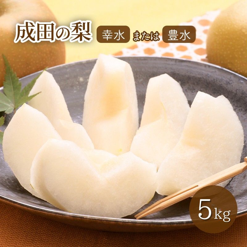 【ふるさと納税】梨 5kg 幸水または豊水【日時指定不可】フルーツ 果物 ナシ なし 和梨 季節のフルーツ 季節の果物 旬のフルーツ 旬の果物 千葉 千葉県 成田市　お届け：2026年8月10日～2026年9月10日