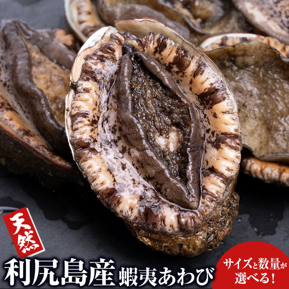 【ふるさと納税】利尻島産 ☆天然蝦夷あわび 選べるサイズ 中〜超特大・不揃い☆北海道ふるさと納税 利尻富士町 ふるさと納税 鮑 天然 冷凍 刺身 高級海鮮 海鮮 おせち
