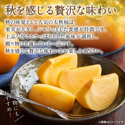 ふるさと納税 八代市 【先行予約】 太秋柿 約2kg(5〜8玉)【2026年10月上旬より順次発送】_229-6595-A |  | 01