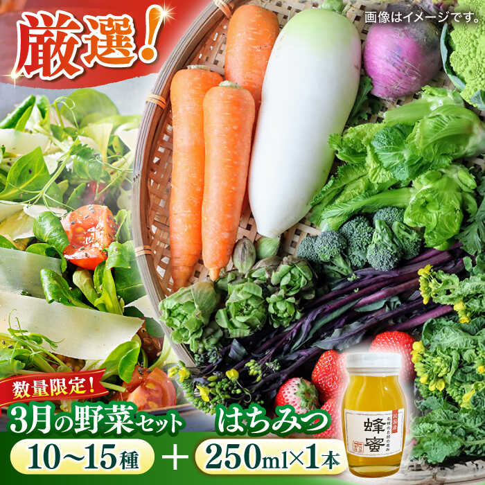【ふるさと納税】【数量限定】厳選！旬を味わう高槻野菜詰め合わせ 3月（10〜15種）＆はちみつ セット　大阪府高槻市/高槻あぐり[AOCS022]