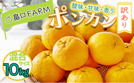 【先行予約】訳ありポンカン ＜10kg＞ サイズ混合　HT20 [H-08] 【畠口FARM（畠口　佳養）】
