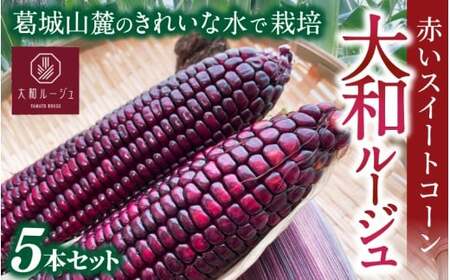 とうもろこし 先行予約 奈良県産 大和ルージュ 計5本 令和8年産 【2026年7月中旬～10月中旬順次発送】葛城市【smlk036】