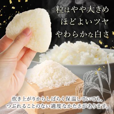 ふるさと納税 青森市 【令和6年産】青森県産　青天の霹靂5kg(精米) |  | 02