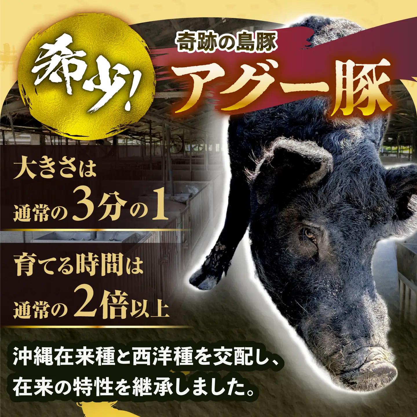 豚肉 アグー豚 切り落とし 1.8kg 小分け BCEO017