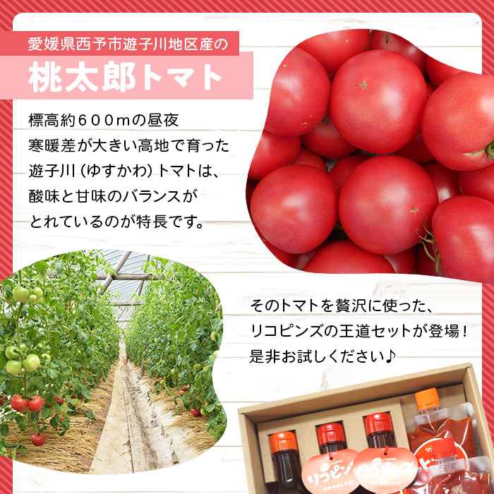 ＜リコピンズの王道セット（遊子川トマトの加工品）＞ とまと 野菜 ケチャップ 子供 ポン酢 完熟 トマトソース ドレッシング 調味料 詰め合わせ ギフト 国産 特産品 遊子川ザ・リコピンズ 愛媛県 西