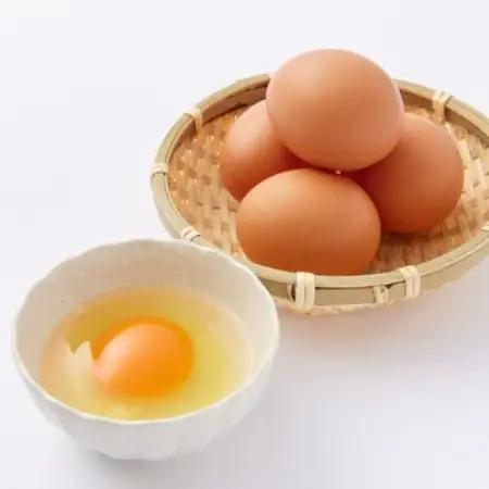 【毎月定期便】計180個【生みたて濃厚】谷川養鶏の赤たまご30ヶ入り(※サイズ指定できません)全6回【配送不可地域：離島】【4092210】