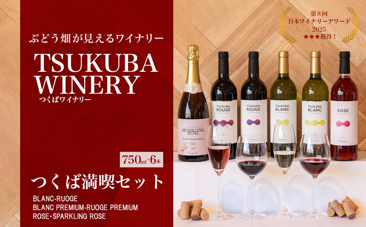 つくばワイナリー 満喫セット 【 お酒 葡萄 ぶどう ブドウ 茨城県産 つくば市産 ワイナリー 】