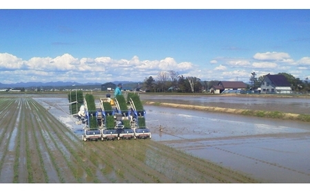 【令和5年産】北海道岩見沢産くすのきファームのたべくらべ玄米2種セット（ゆめぴりか・ななつぼし　各5Kg　計10Kg）【34142】