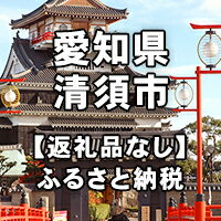 【ふるさと納税】愛知県清須市への寄付（返礼品はありません）