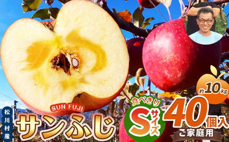 【2025年先行予約】家庭用 サンふじ 食べきりSサイズ 40個入り 10kg｜ 北條農園 リンゴ りんご 林檎 果物 フルーツ 果実 果汁 サンふじ さんふじ Sサイズ 食べきりサイズ 家庭用 長野県 松川村 信州