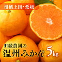 【ふるさと納税】【先行予約】【数量限定】田縁農園の温州みかん（生果）5kg ｜ 柑橘 みかん ミカン フルーツ 果物 愛媛 ※2024年11月上旬～12月下旬頃に順次発送予定