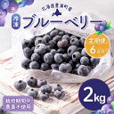 【ふるさと納税】【定期便6カ月】北海道 豊浦町産 冷凍 ブルーベリー 2kg 栽培期間中農薬不使用 【 ふるさと納税 人気 おすすめ ランキング 果物 ブルーベリー 冷凍ブルーベリー 国産 濃厚 大容量 無農薬 おいしい 美味しい 新鮮 定期便 北海道 豊浦町 送料無料 】 TYUS014