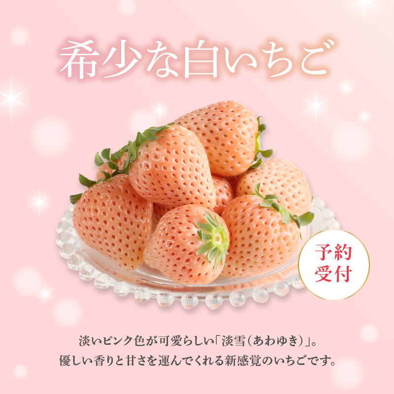 ★予約受付★杉山いちご農園 玄海町産いちご“淡雪（あわゆき）”　毎月定期便 定期便（1箱2パック）