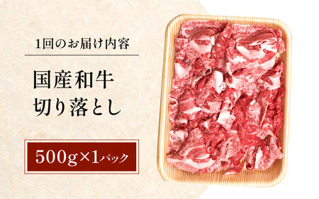 【全12回定期便】国産和牛切落し 500ｇ 冷凍 肉 お肉 牛肉 和牛 黒毛和牛 国産 国産牛 バラ 切り落とし すき焼き すきやき カレー 肉じゃが 牛丼 大阪府高槻市/株式会社ミートモリタ屋[AO