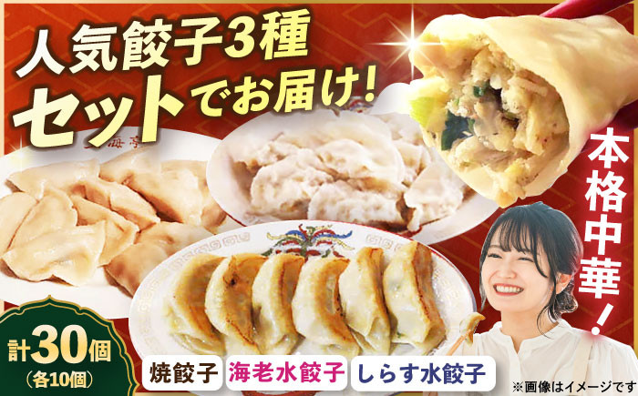 
            【テレビで紹介されました！】冷凍 海老水餃子 しらす水餃子 焼餃子 3種 セット 計30個【横須賀商工会議所 おもてなしギフト事務局（上海亭）】 [AKED008]
          