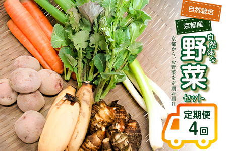＜京都産野菜定期便4回＞自然体な野菜セット 旬の野菜 野菜詰合せ 野菜セット 野菜定期便 ４回 自然農園 自然栽培 安心 安全 健康 マクロビ ベジタリアン 定期便 京野菜 京都 木津川  086-0