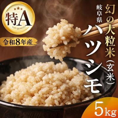 ふるさと納税 羽島市 【先行予約】令和8年産　岐阜県産ハツシモ(玄米)5kg