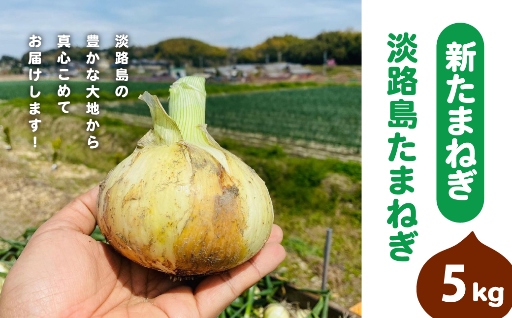 【新たまねぎ】淡路島たまねぎ(5キロ)【発送時期：2025年5月～6月上旬頃】