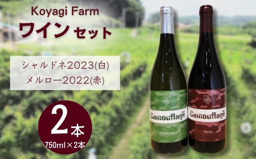 【ワイン】 2本セット メルロー 2022 (赤) ＋ シャルドネ 2023 (白) | 赤ワイン 白ワイン 国産 日本ワイン お中元 お歳暮 母の日 父の日 プレゼント ギフト 贈り物 福島 南相馬