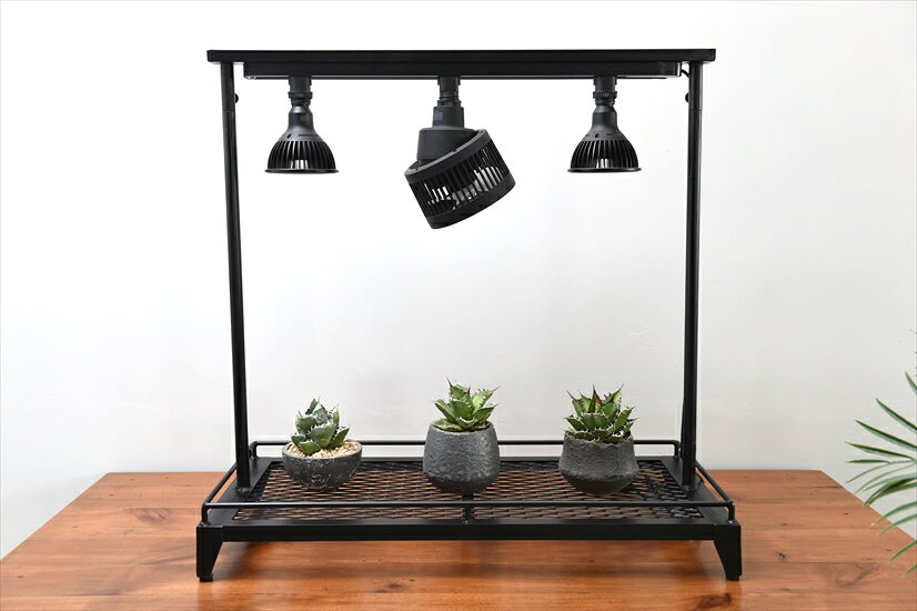 【ふるさと納税】ライティングレール付き植物棚 ボタニカルラック Wスタンダード 観葉植物 多肉植物 植物育成 インドア ガーデニング 園芸 育成ライト サーキュレーター インテリア 贈答 記念品 兵庫県 丹波市
