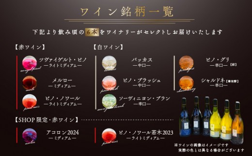 【ふるさとチョイス限定】山崎ワイン（おまかせ6本セット）各750ml