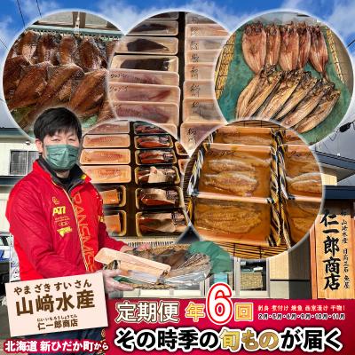 ふるさと納税 新ひだか町 <定期便6回>北海道産 旬の魚介 4~5種 お楽しみ定期便