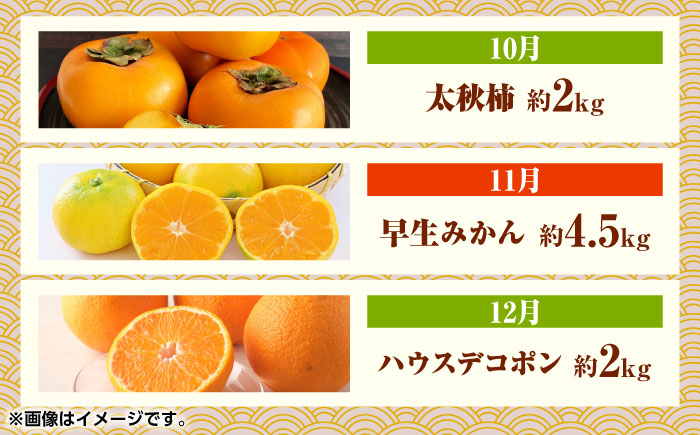 フルーツ10ヶ月定期便　【10月～7月】　【くまふる】 [ZBG078]